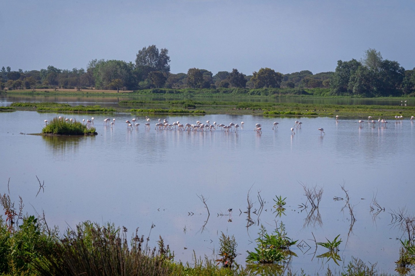 In dem 1969 gegründeten Nationalpark Doñana, der zusammen mit einer als Naturpark geschützten Fläche und einer Pufferzone etwa halb so groß wie das Saarland ist, geht der Grundwasserspi...