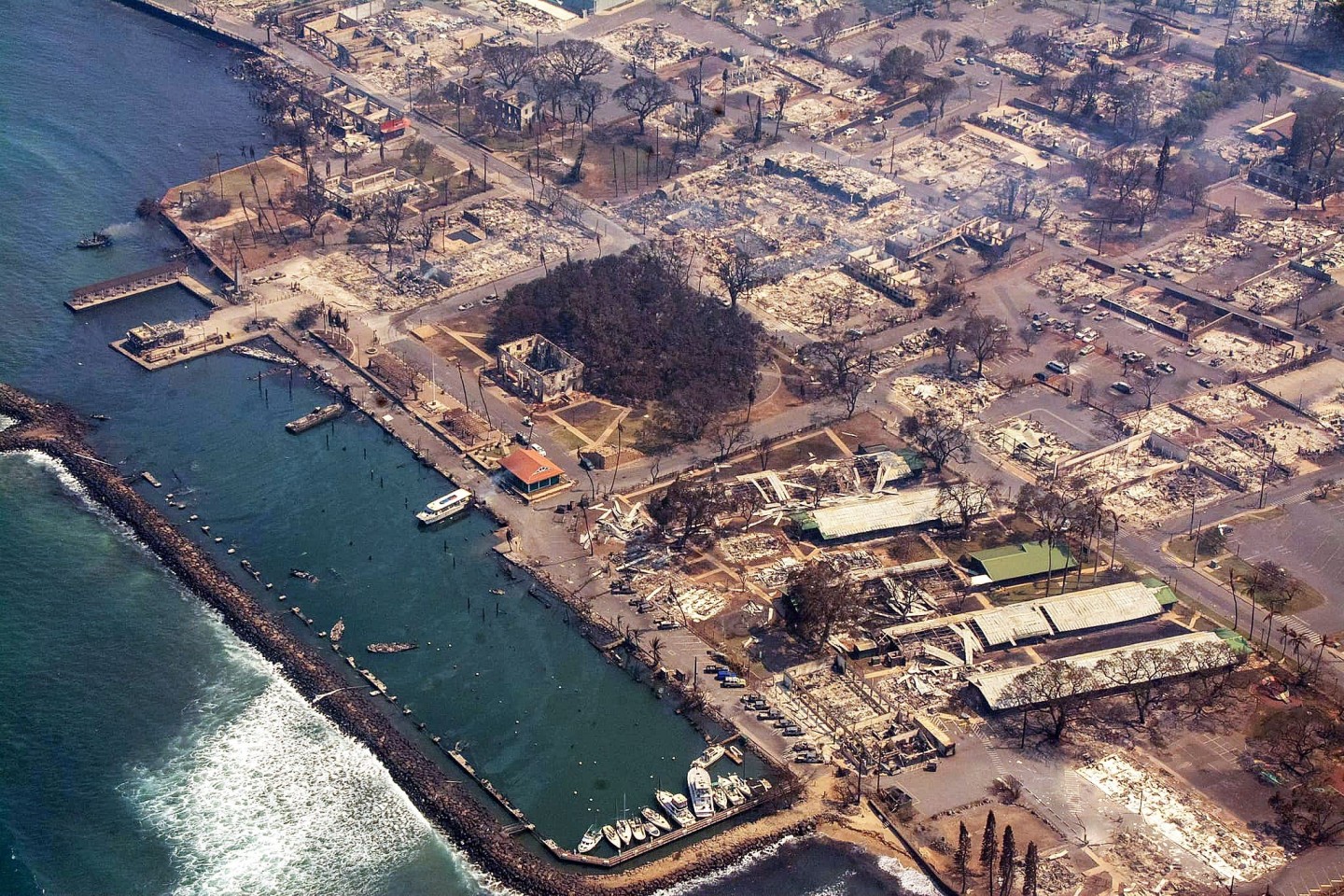 Dieses vom County of Maui zur Verfügung gestellte Luftbild zeigt von den Feuern zerstörte Gebäude in der Nähe eines Jachthafens.