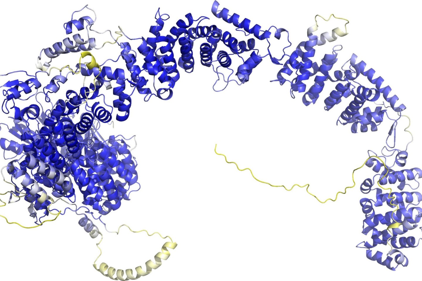 Das Modell der AlphaFold Protein Structure Database stellt das Rückgrat der Proteinstruktur dar. Sogenannte Sekundärstrukturelemente sind als Bänder wiedergegeben. In den blauen Bereichen...