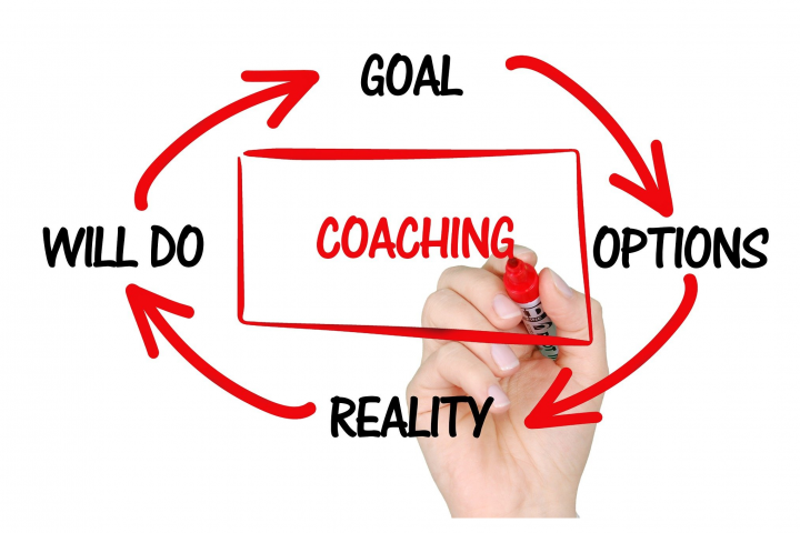 Bildung • Coaching • Therapie