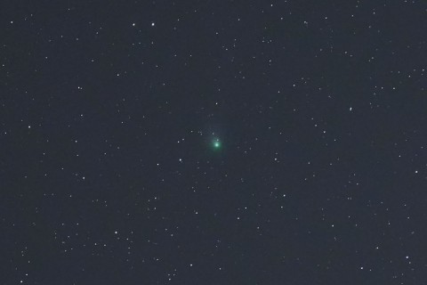 Grüner Komet kommt Erde näher und erscheint am Nachthimmel