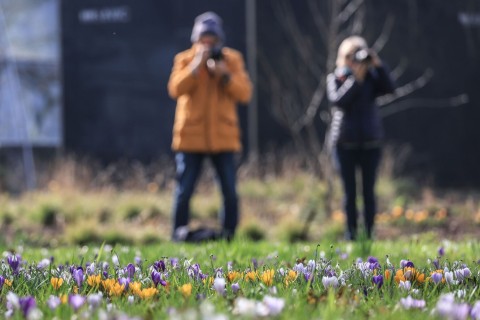 Milder Frühlingsstart in Deutschland