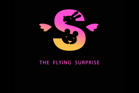The Flying Surprise