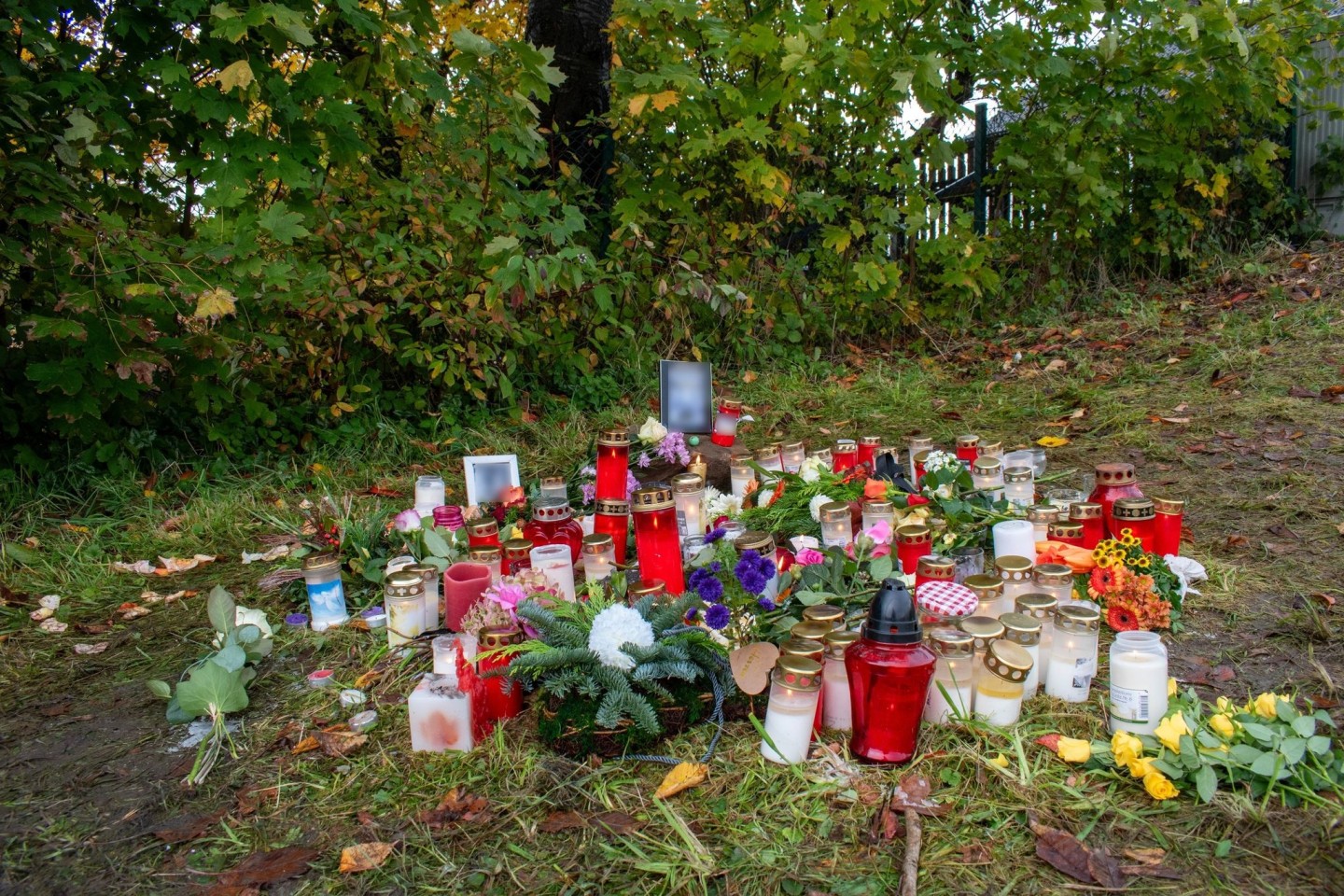 Kerzen und Blumen zum Gedenken: Ein Passant hatte den Toten auf einer Wiese in Horn-Bad Meinberg am Rande des Teutoburger Waldes entdeckt.