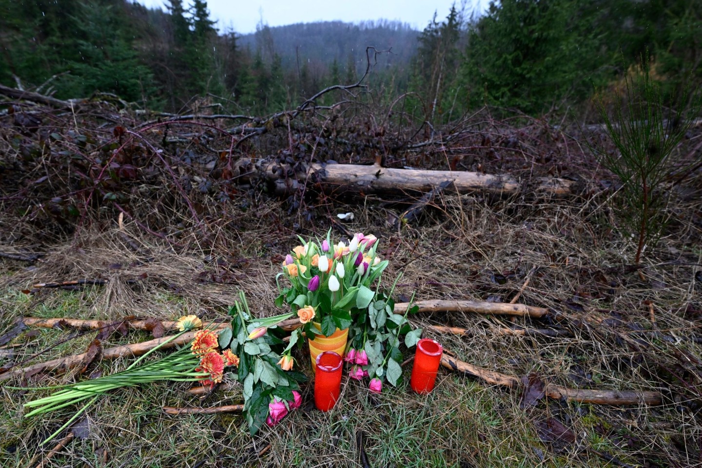 Blumen und Kerzen wurden am Fundort des getöteten Mädchens niedergelegt.